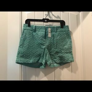 NWT Loft Outlet Shorts